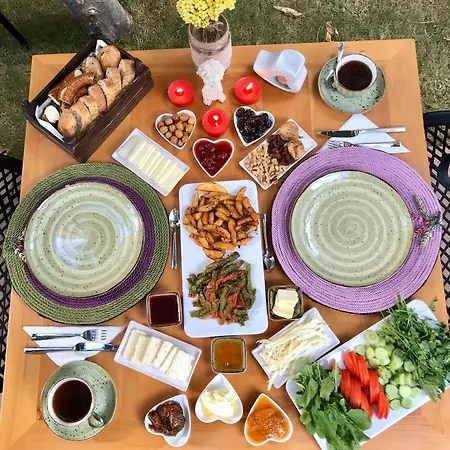 Cedrus Hotell Antalya